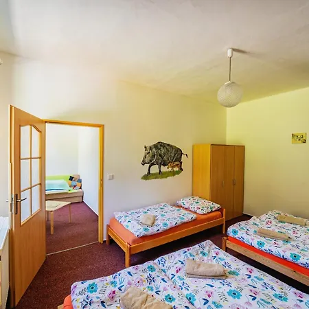 Guest house Sumavous 3*